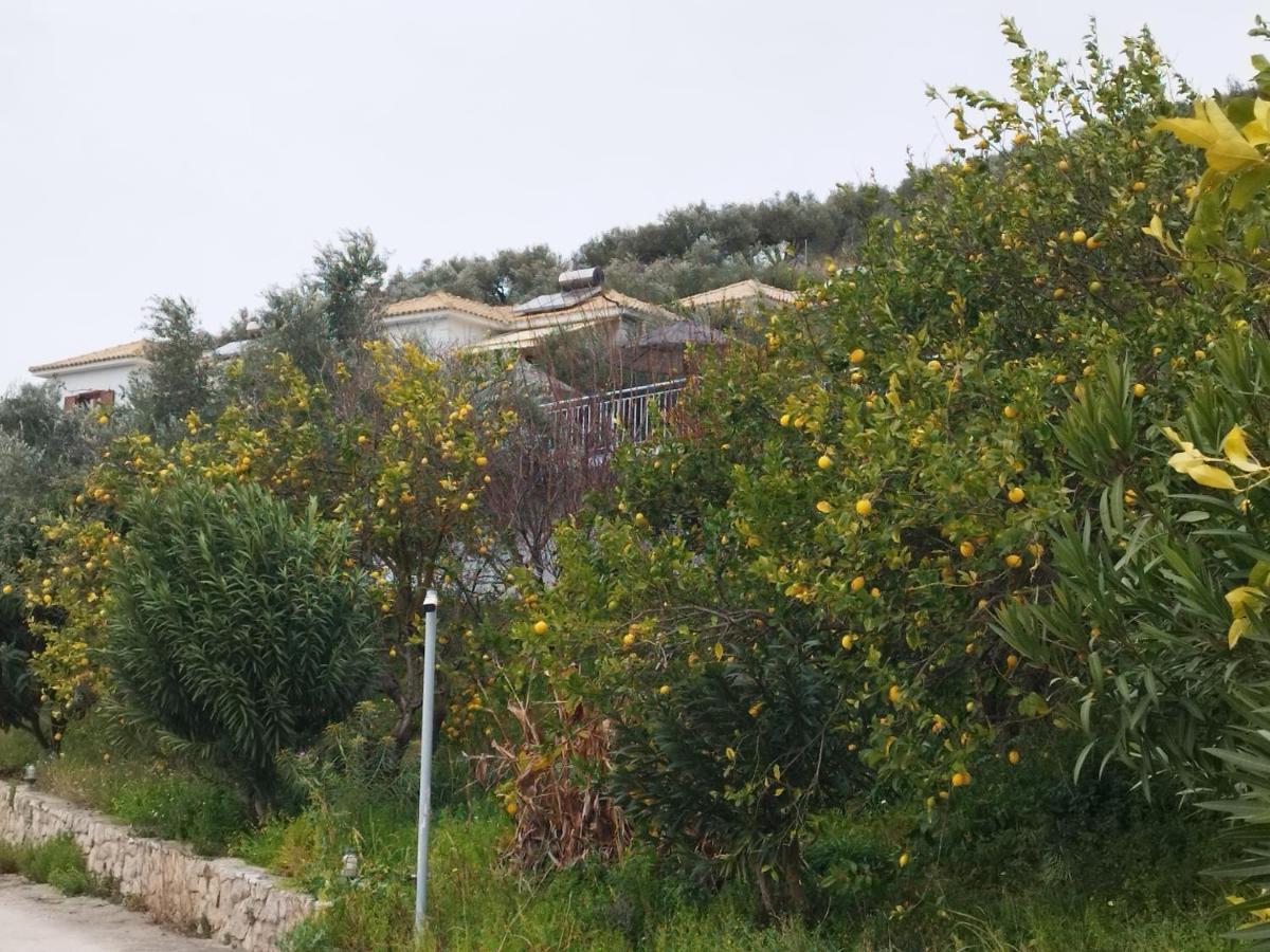 Mary'S Panorama Houses Jálova Kültér fotó